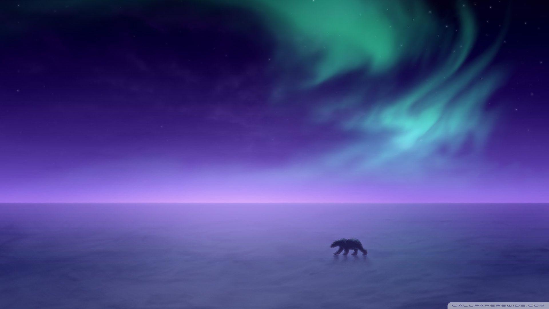 1920x1080 Aurora Borealis ❤ 4K HD Desktop Wallpaper for 4K Ultra HD TV
