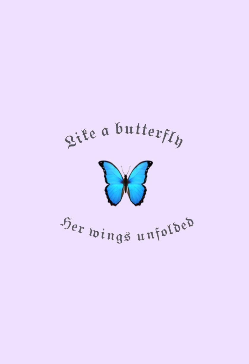 Butterfly Quotes Wallpapers - Top Free Butterfly Quotes Backgrounds ...