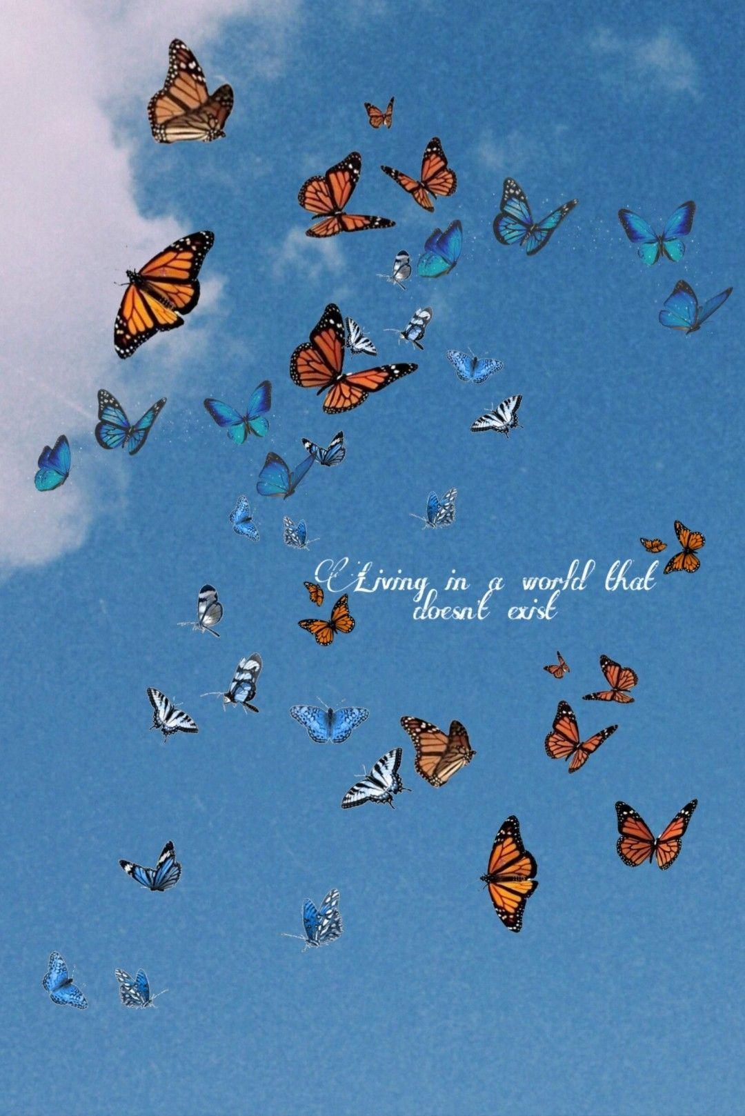 Butterfly Quotes Wallpapers - Top Free Butterfly Quotes Backgrounds
