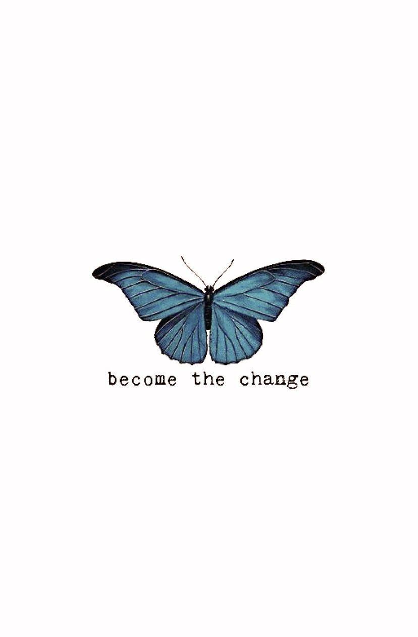 Butterfly Quotes Wallpapers Top Free Butterfly Quotes Backgrounds