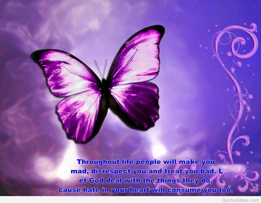 Butterfly Quotes Wallpapers Top Free Butterfly Quotes Backgrounds