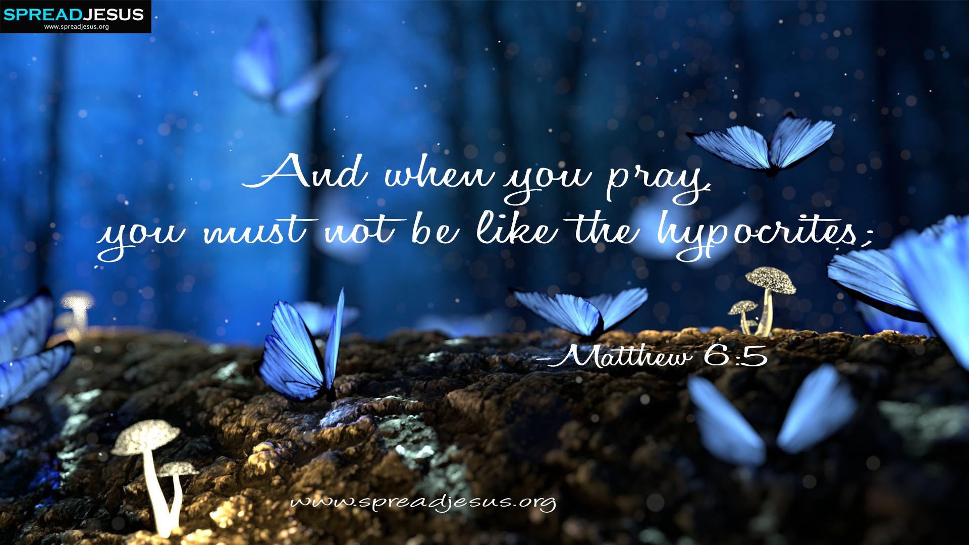 Butterfly Quotes Wallpapers Top Free Butterfly Quotes Backgrounds