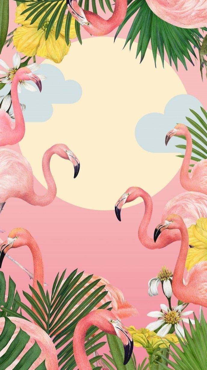 688x1230 Flamingo Wallpaper Free HD Wallpaper