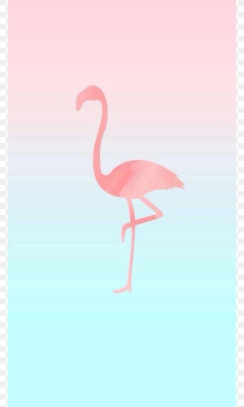 820x1365 Flamingo Xiaomi Wallpaper Free HD Wallpaper