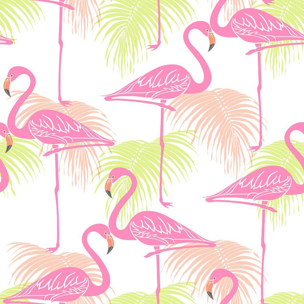 1000x1000 Fd42213 Flamingo Wallpaper Wall Paper HD Wallpaper