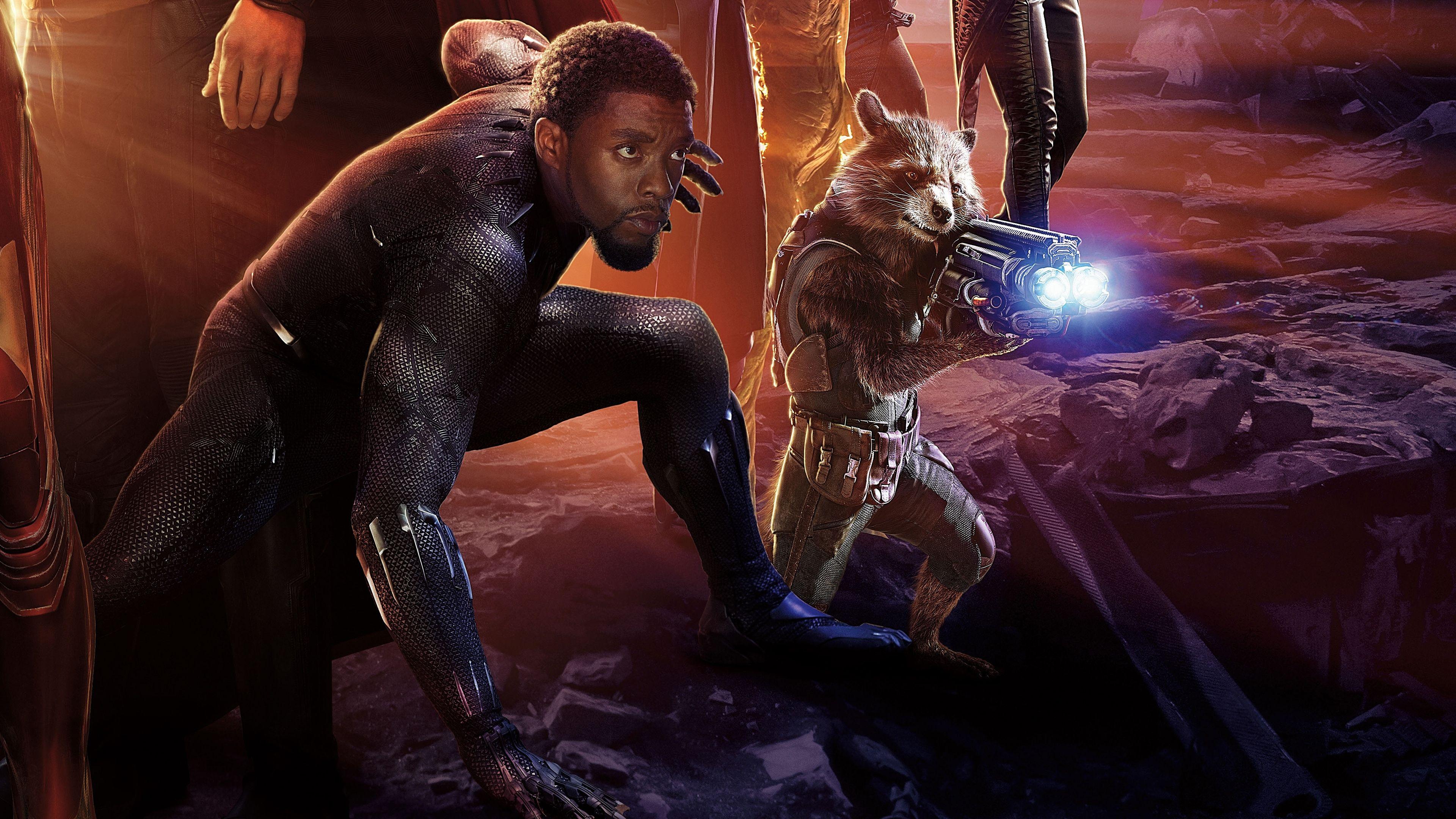 3840x2160 Avengers: Infinity War Black Panther and Rocket Raccoon 4K