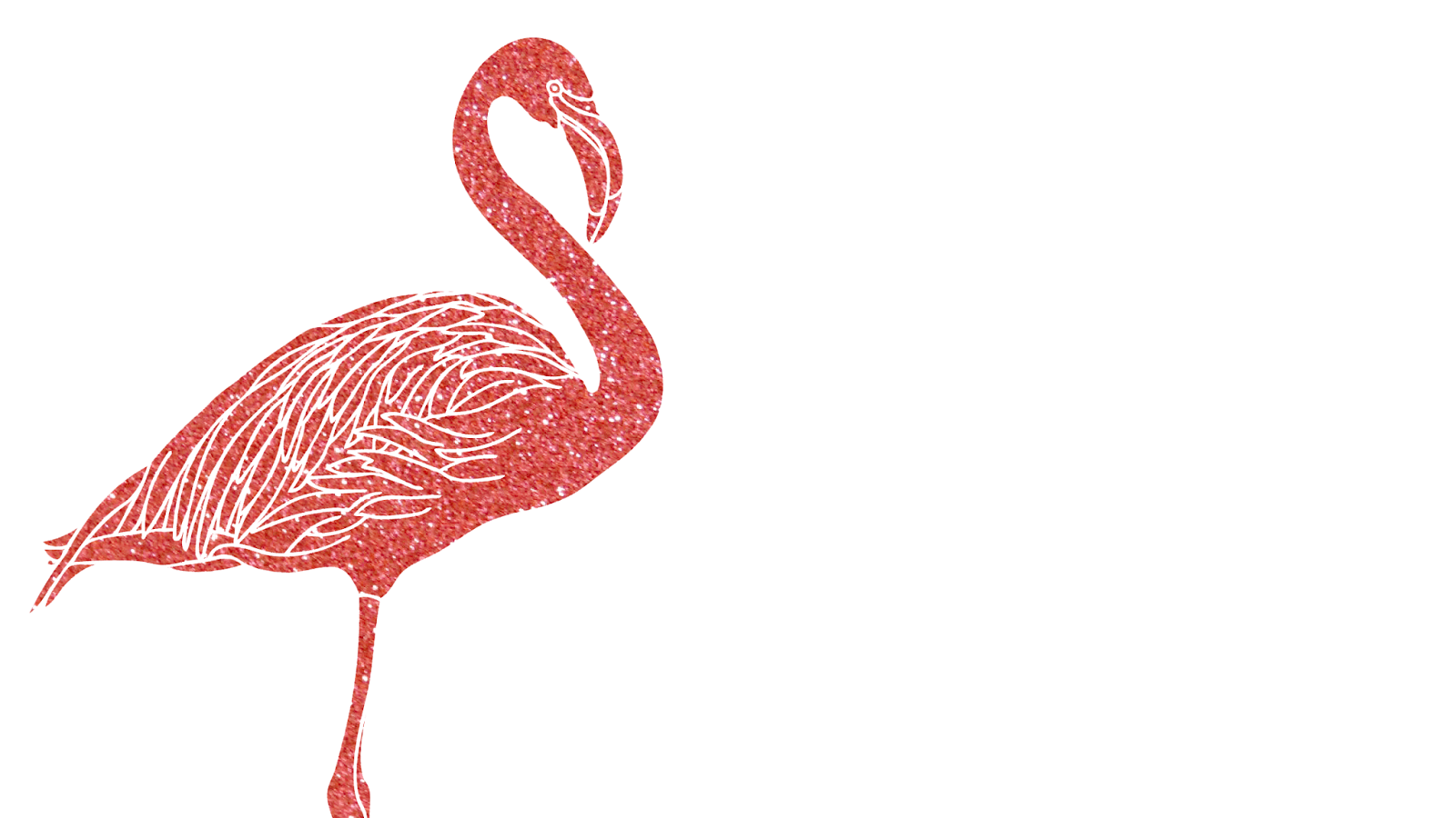 Flamingo Laptop Wallpapers Top Free Flamingo Laptop Backgrounds Wallpaperaccess