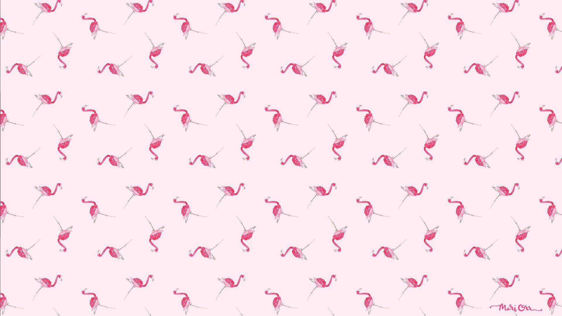 1920x1080 Mari Orr Pink Flamingo hình nền (1920 × 1080)