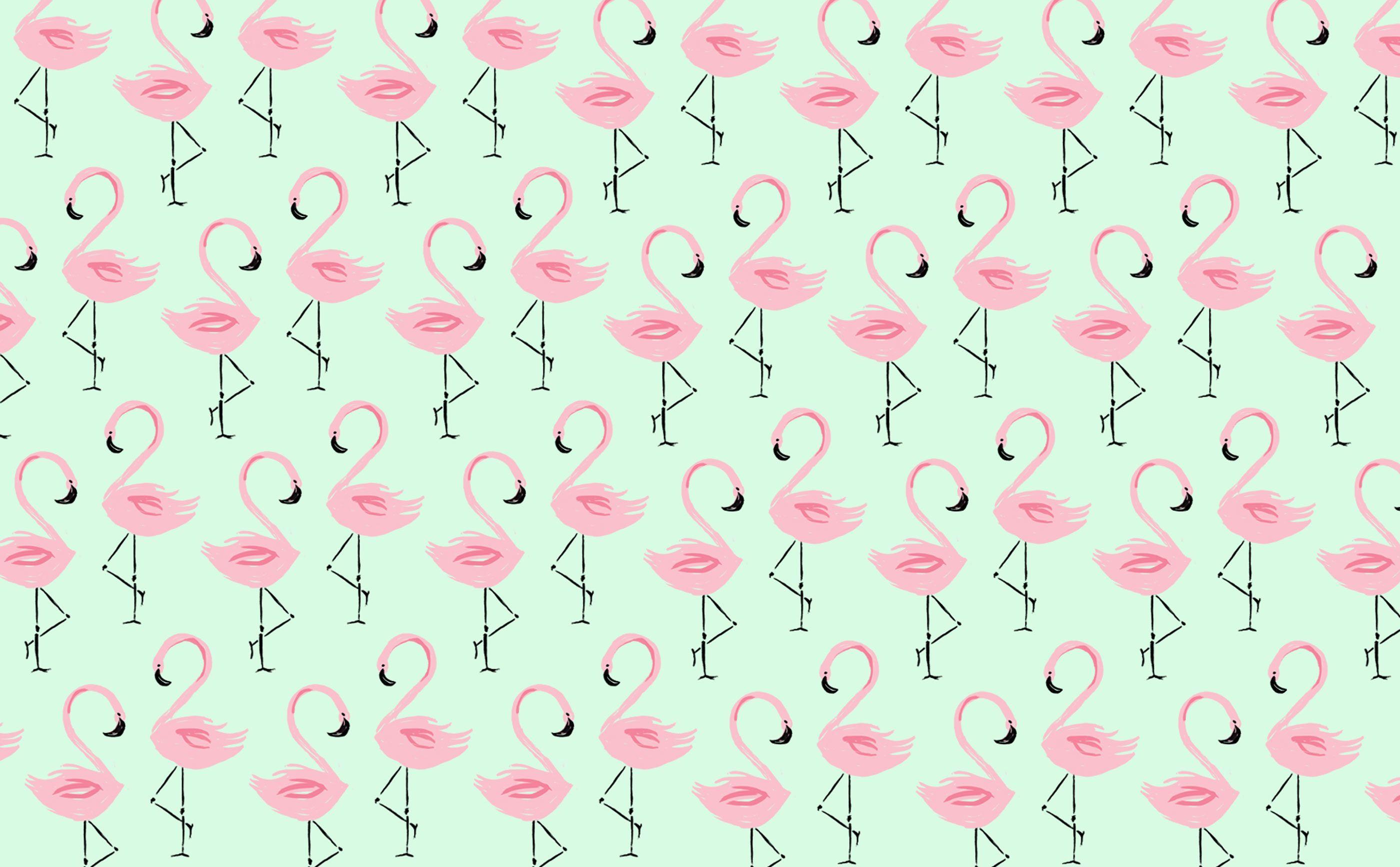 2800x1736 Flamingo Hình nền HD