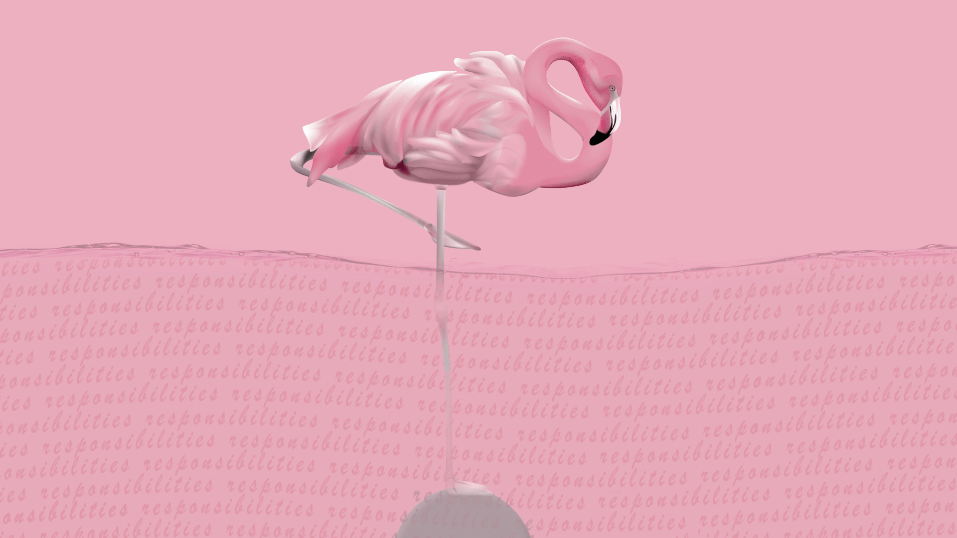 1920x1080 Flamingo hình nền