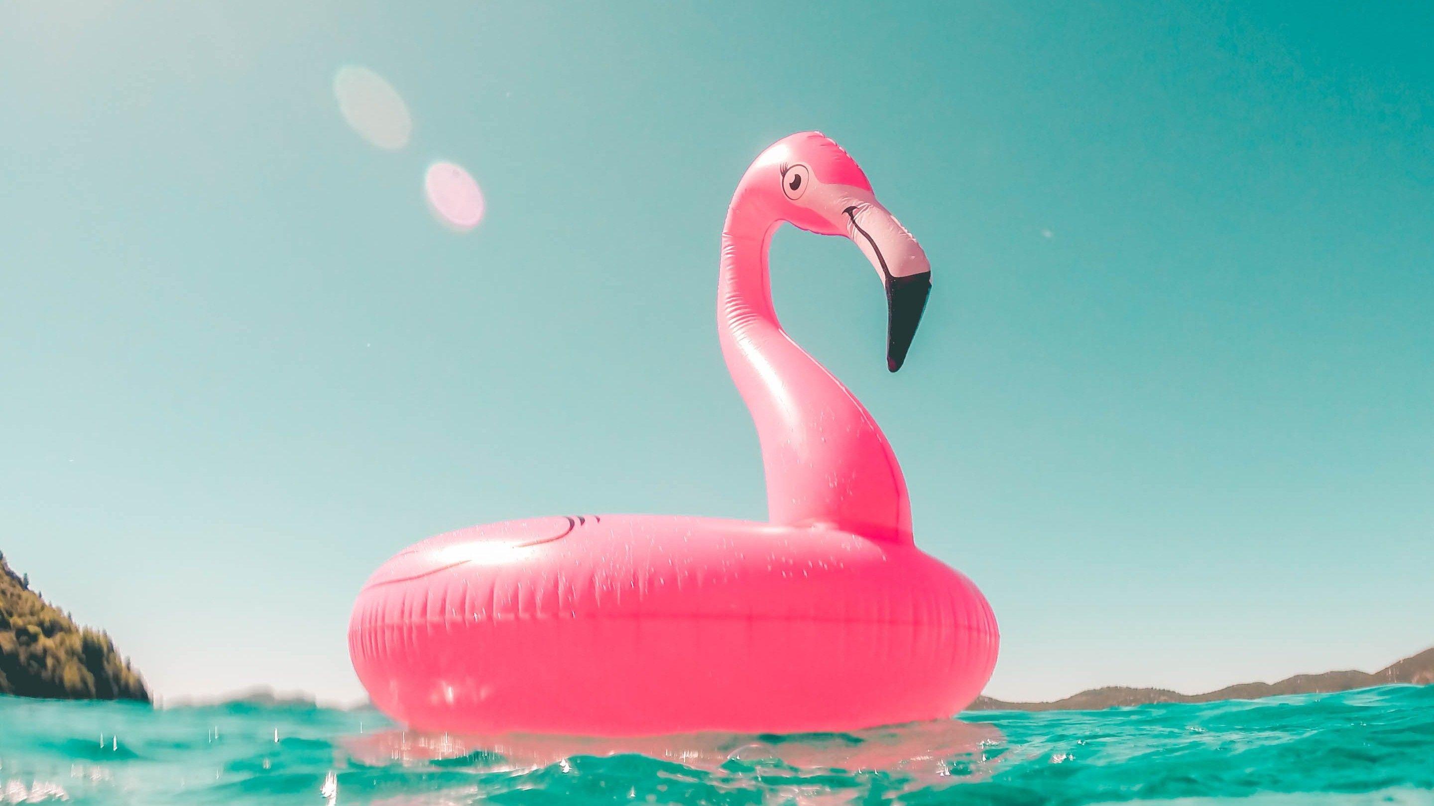 Hình nền mùa hè 2880x1620 Flamingo Air Toy in Pool