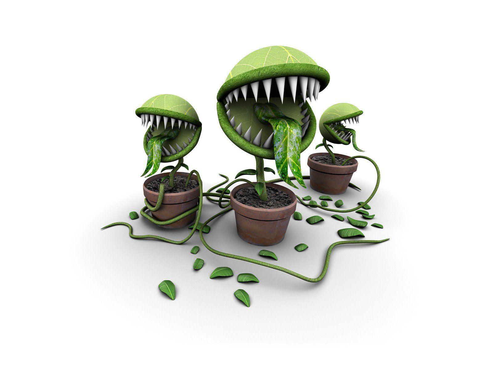 1600x1200 Piranha Plant Wallpaper HD / Desktop and Mobile Background
