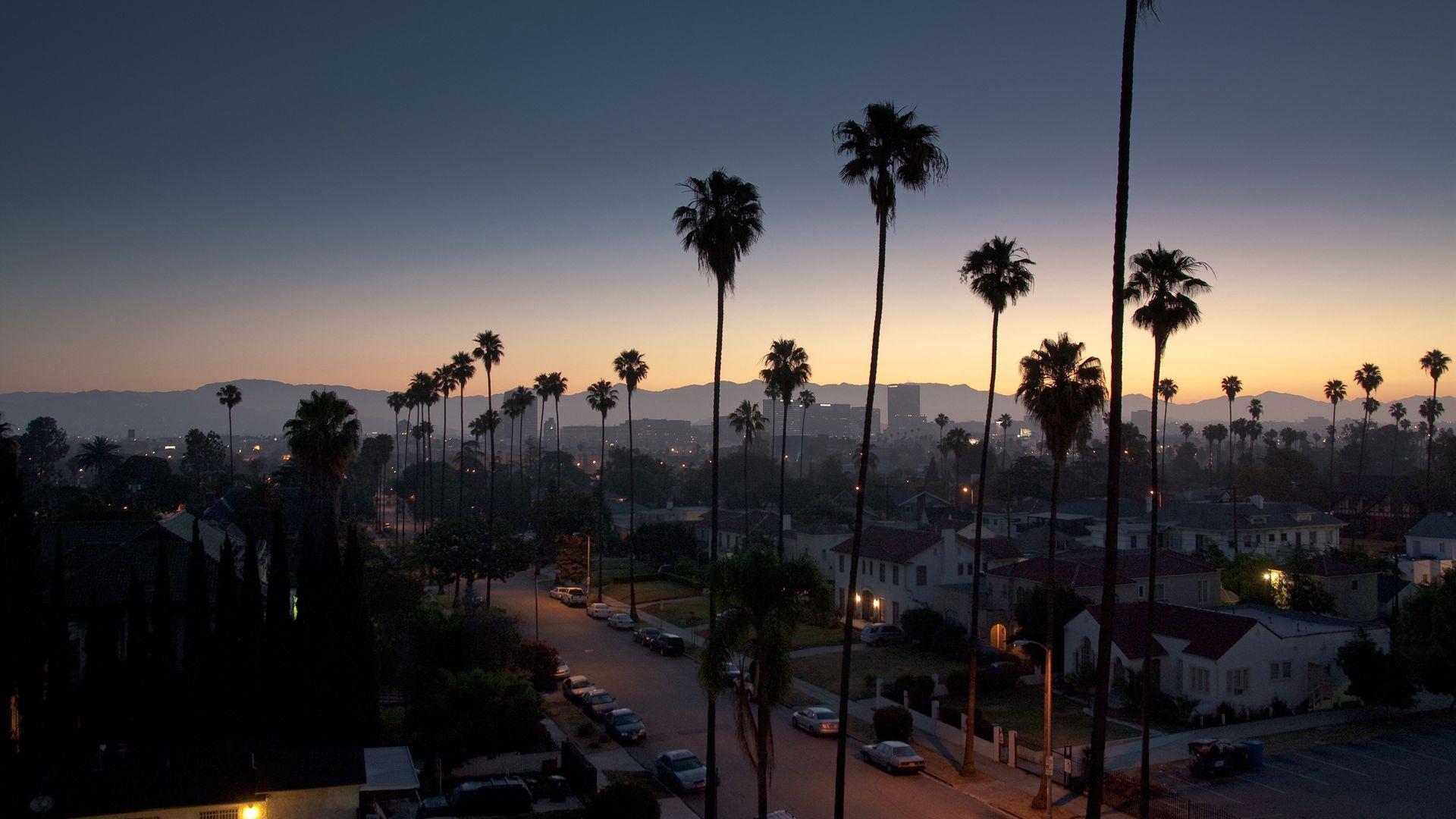 1920x1080 Palm Tree Night View California
