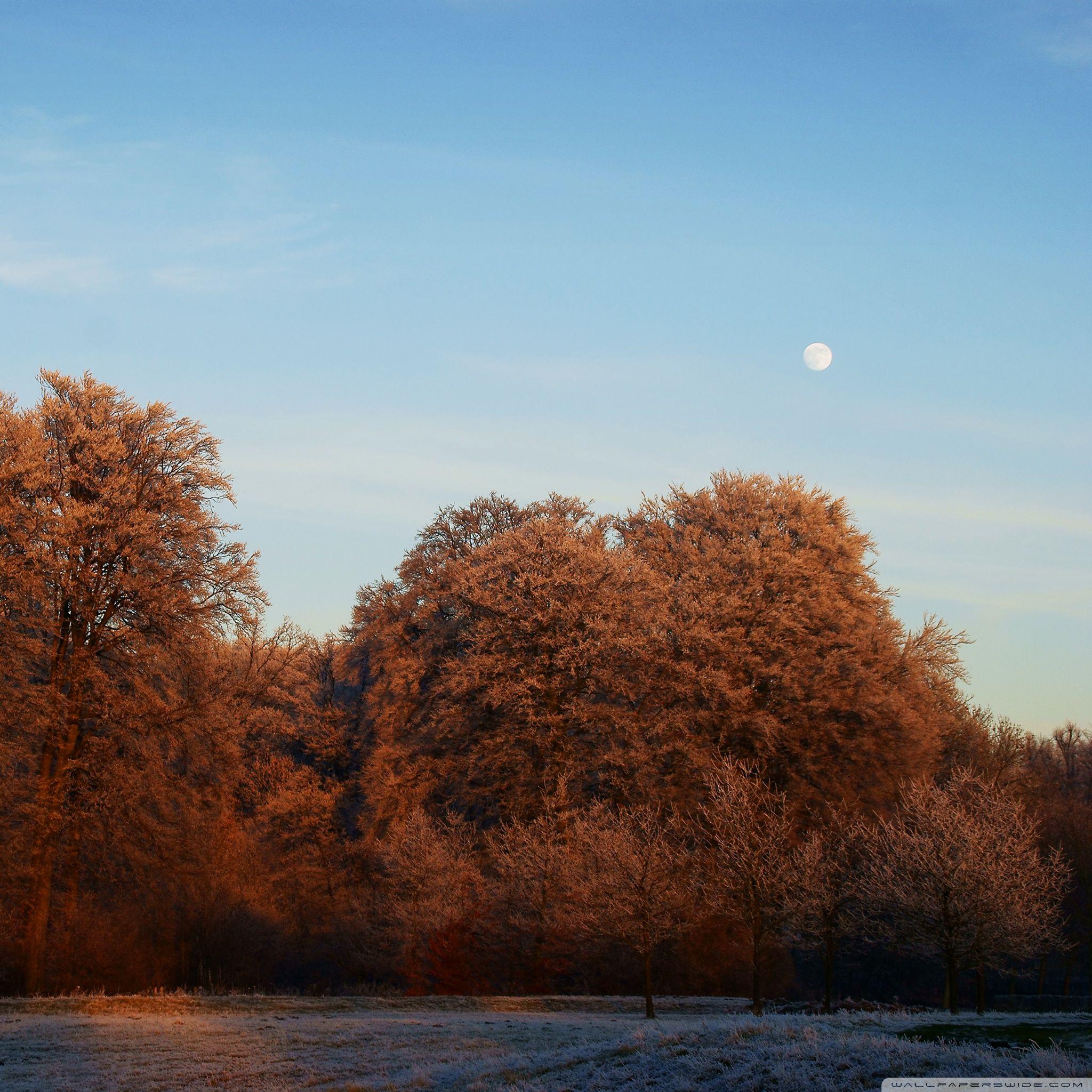 2048x2048 Winter Sunset Utrecht iPad Air Wallpaper Free Download