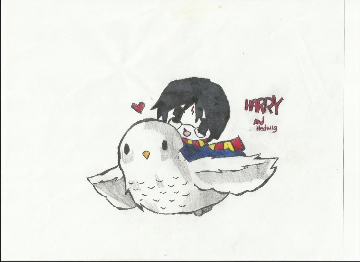 Harry Potter Hedwig Wallpapers - Top Free Harry Potter Hedwig ...