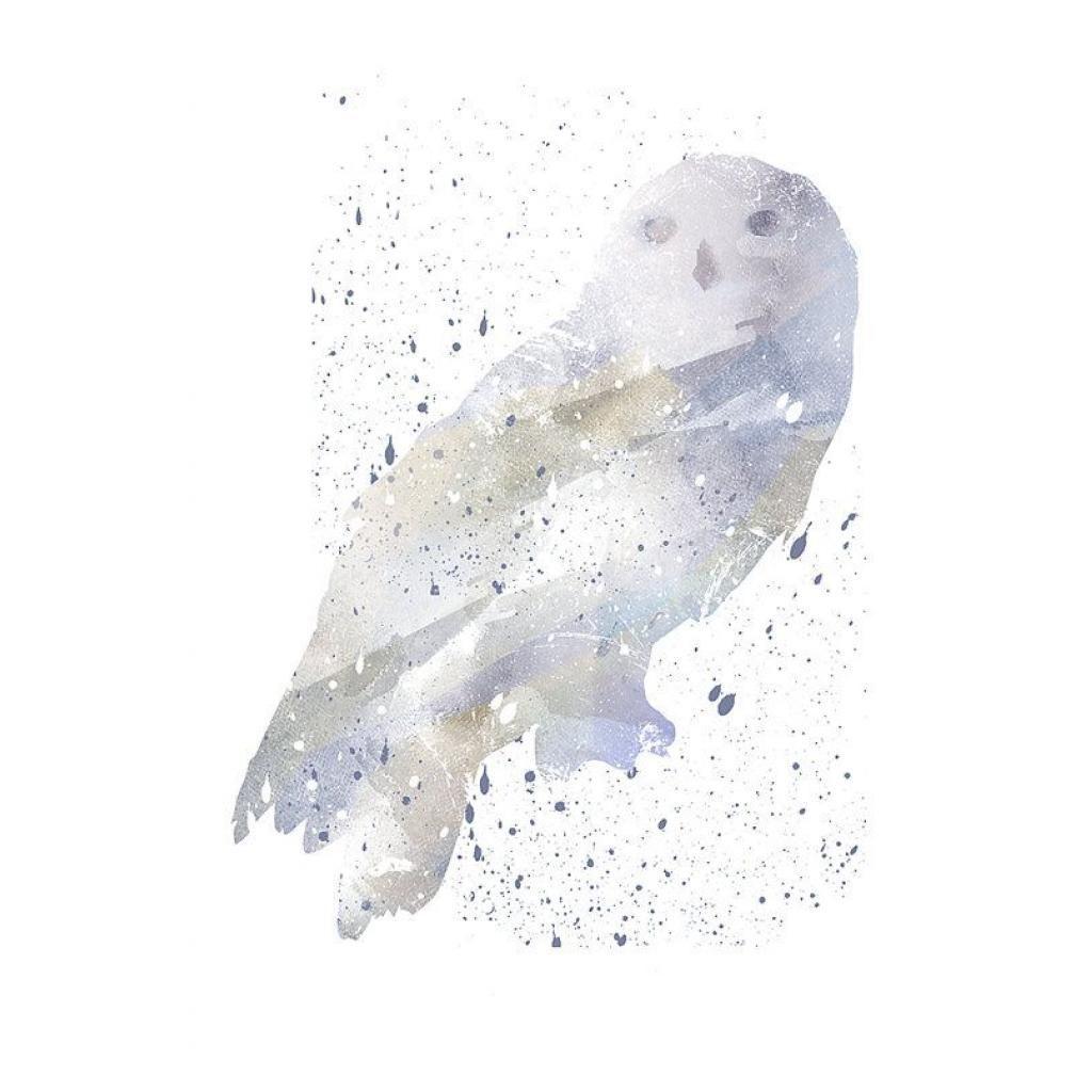1024x1024 Hedwig Hedwig Poster Harry Potter Alternative print Harry Potter Watercolor poster Water. Harry potter watercolor, Harry potter background, Harry potter wallpaper