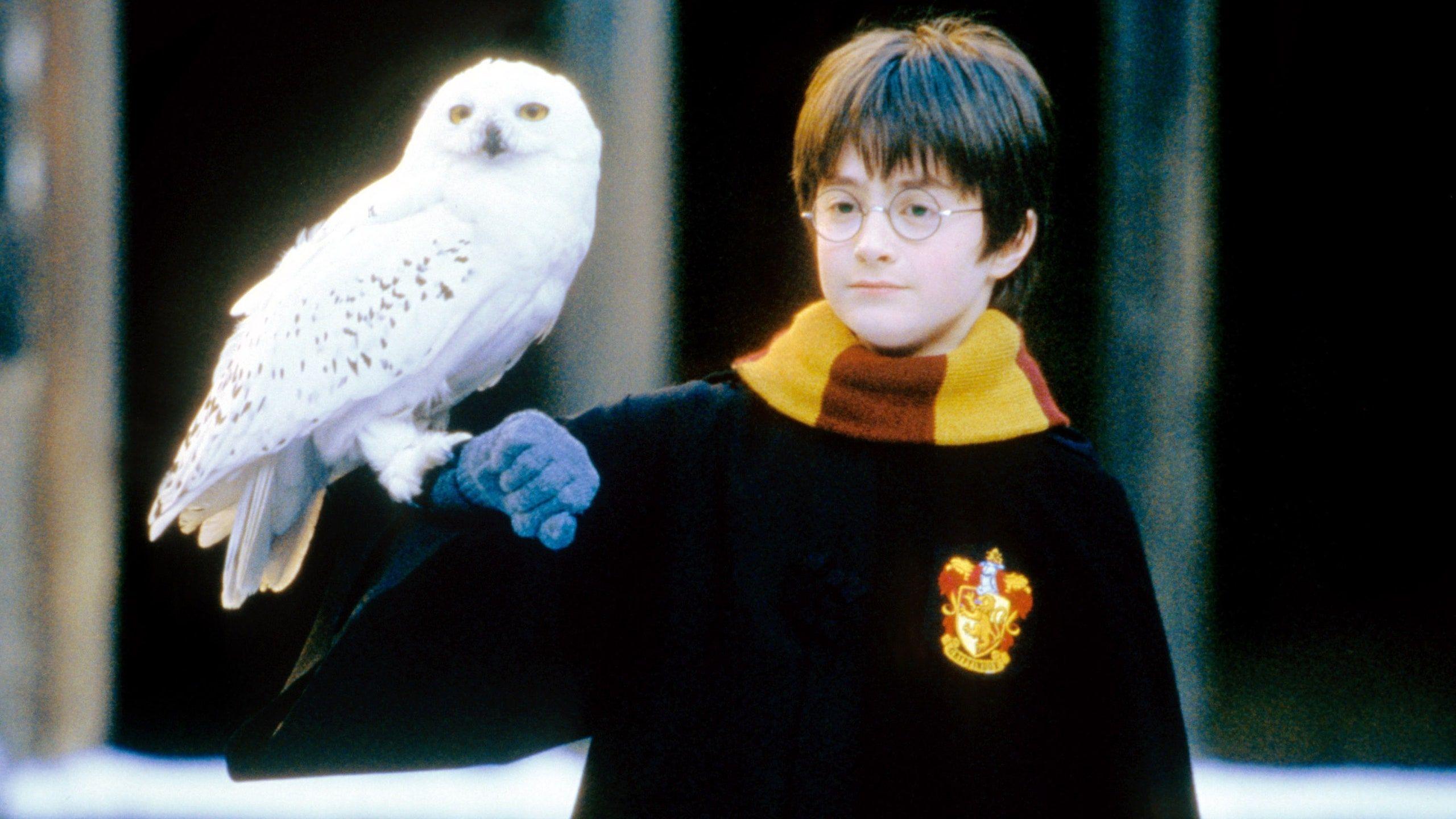 harry potter hedwig interactive