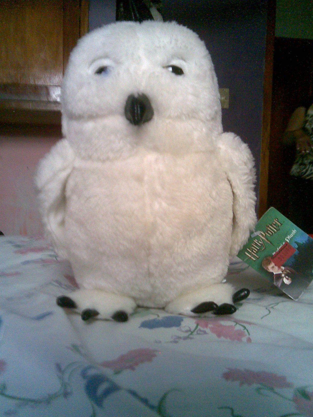 1200x1600 Hedwig Potter Fan Art