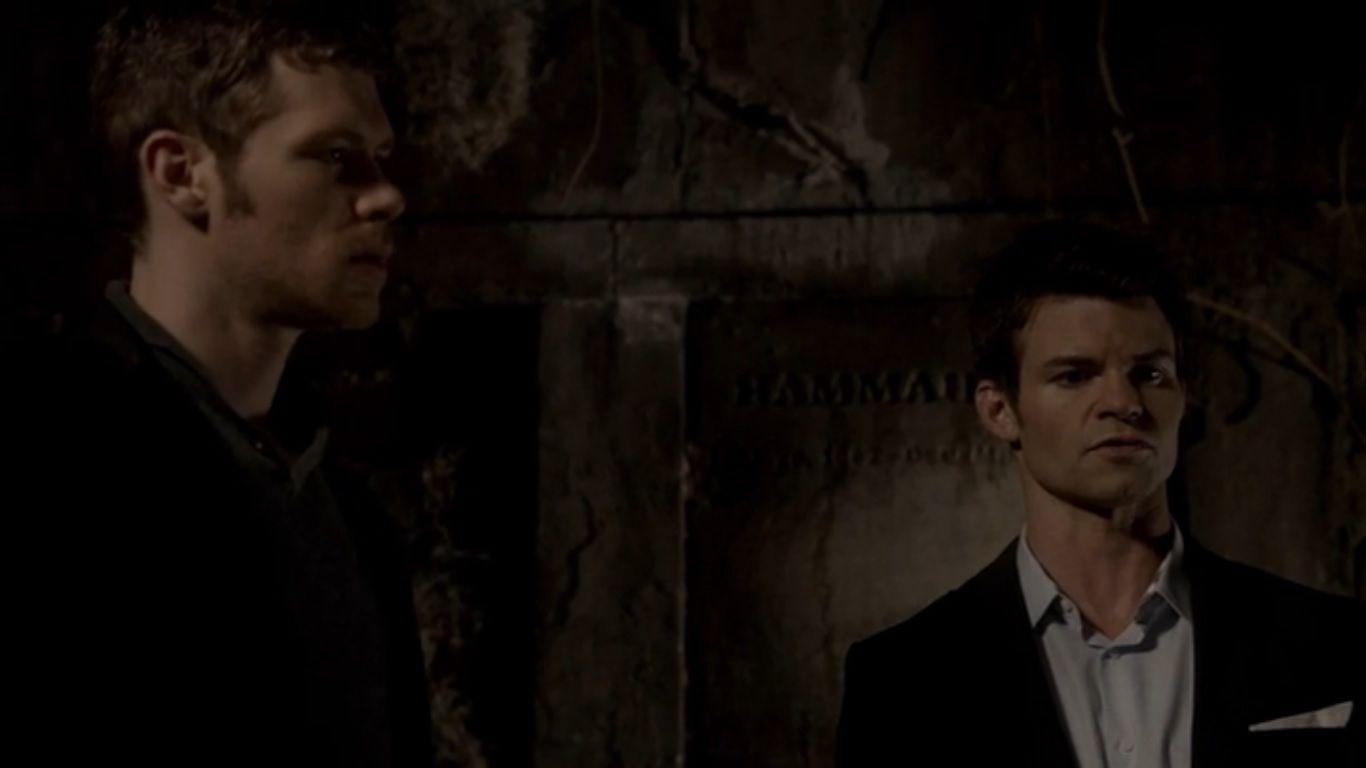 1366x768 Niklaus Mikaelson. Vampire Diaries Fanon