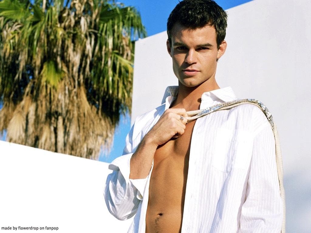 1024x768 Daniel Gillies HD