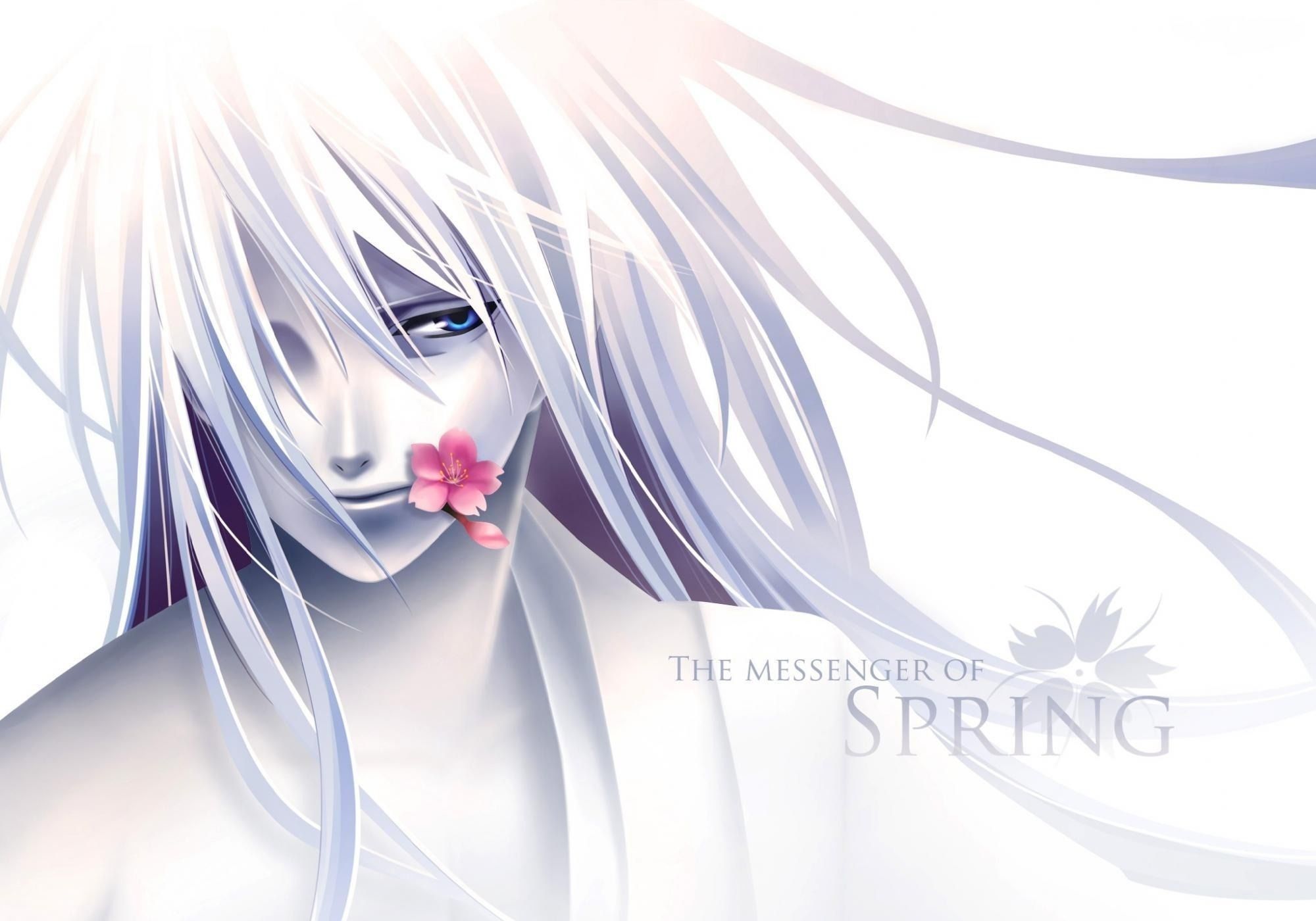 2000x1400 Free Mahiro Atori 4K Wallpaper & Desktop HD Background for PC