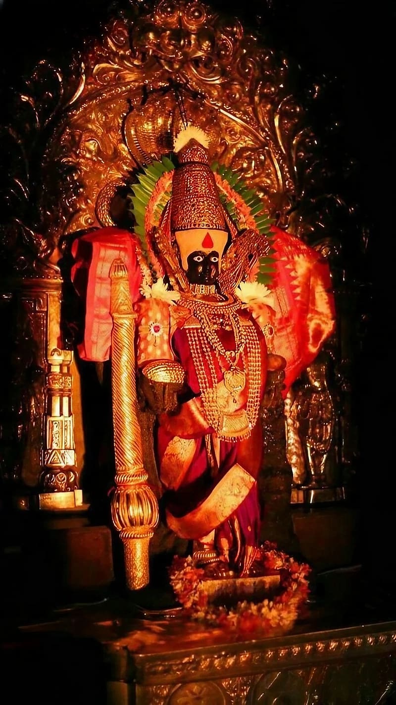 800x1423 Mahalaxmi, Goddess, bhakti, devotional, HD phone wallpaper