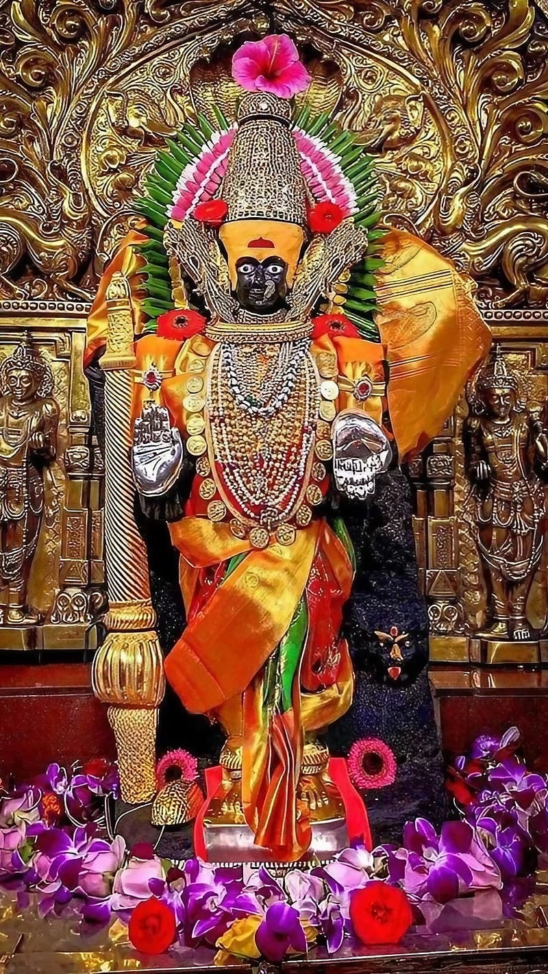 800x1422 HD mahalaxmi wallpaper