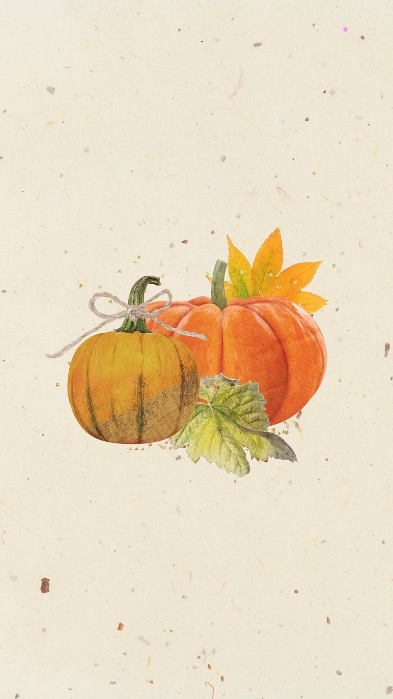 800x1422 Cute Wallpaper Fall Image Wallpaper