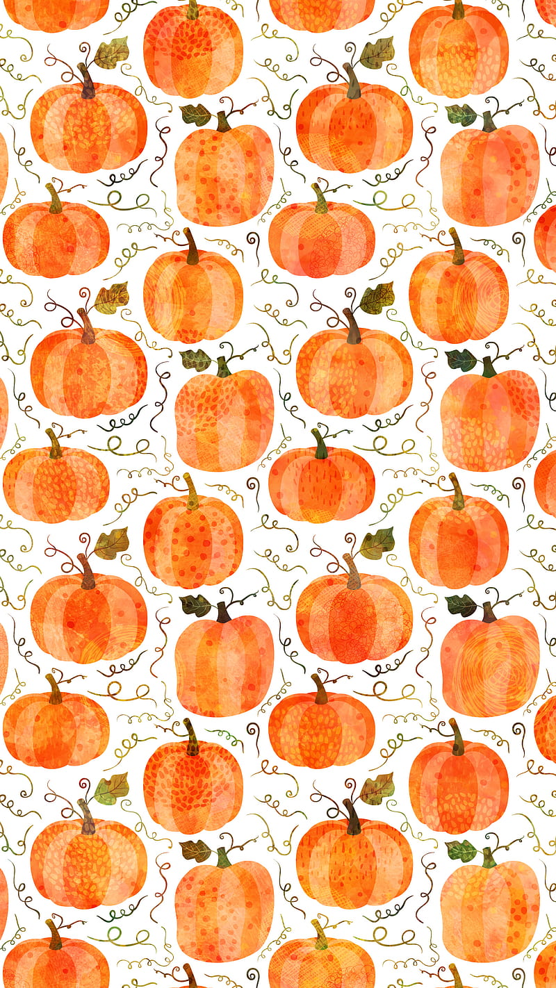 800x1422 Cute Orange Pumpkins, Halloween, October, Pravokrug, September, Thanksgiving, HD phone wallpaper