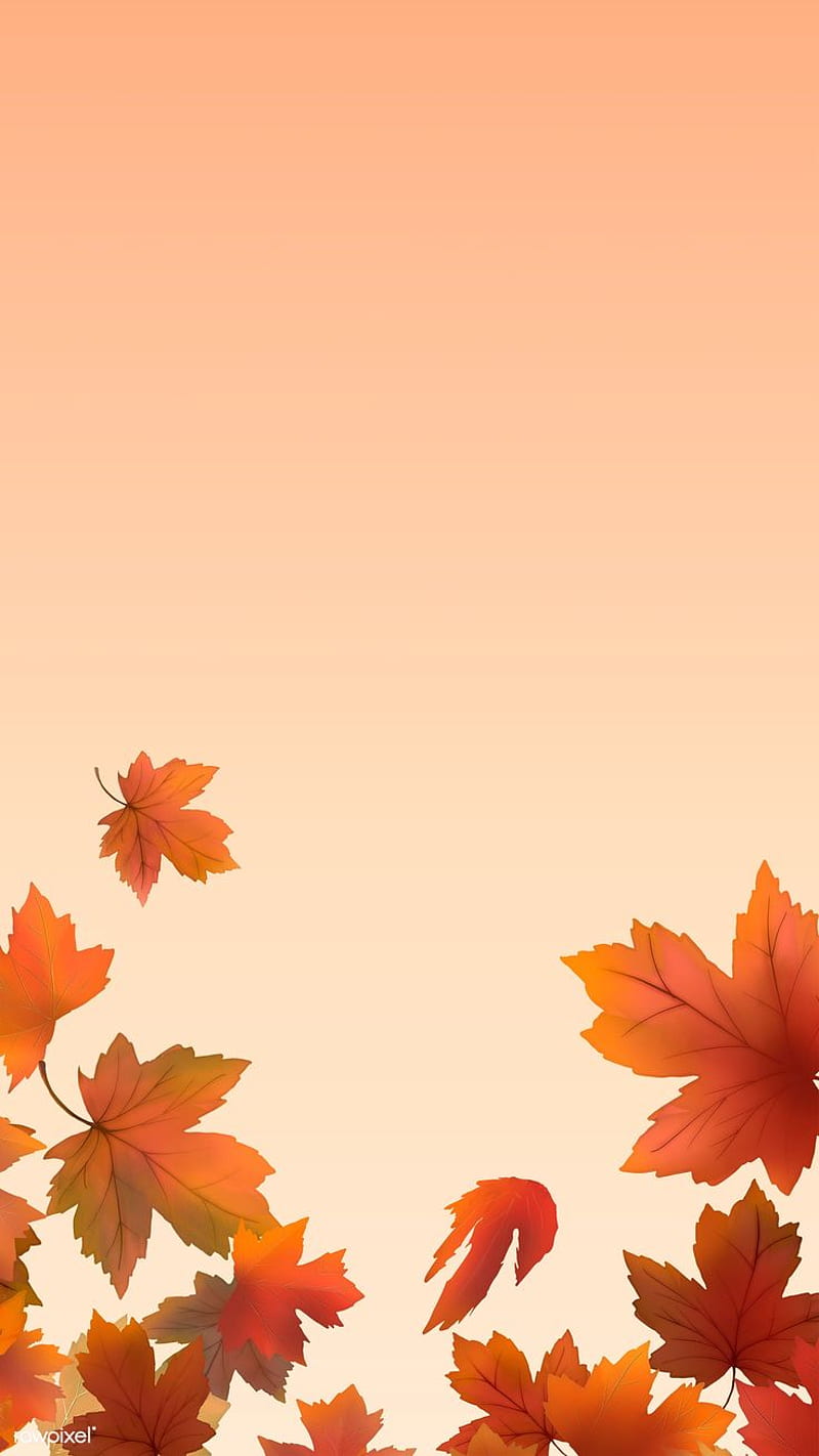 800x1422 Red maple leaf framed background illustration. / wodn2080. Autumn leaves, Fall, HD phone wallpaper