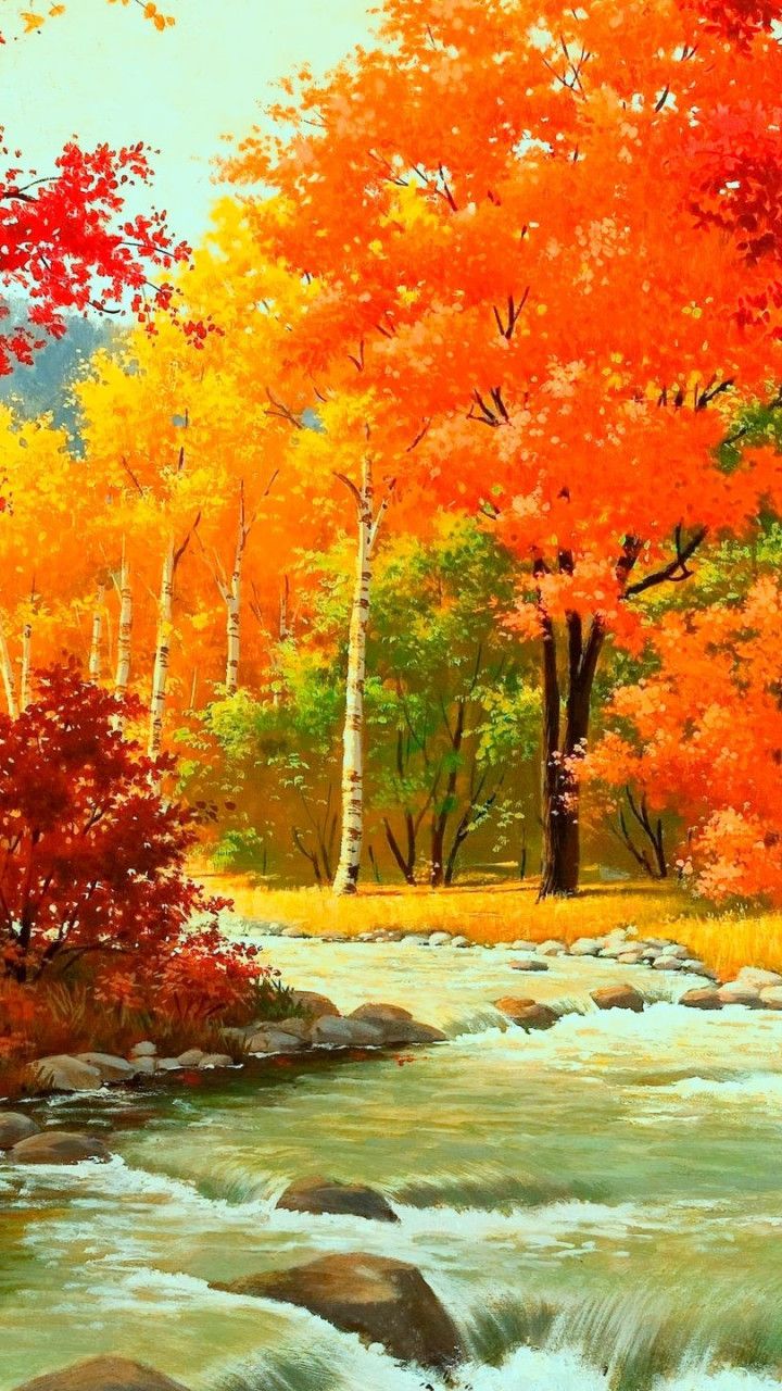 720x1280 Fall Season Wallpaper 2560x1440 56209