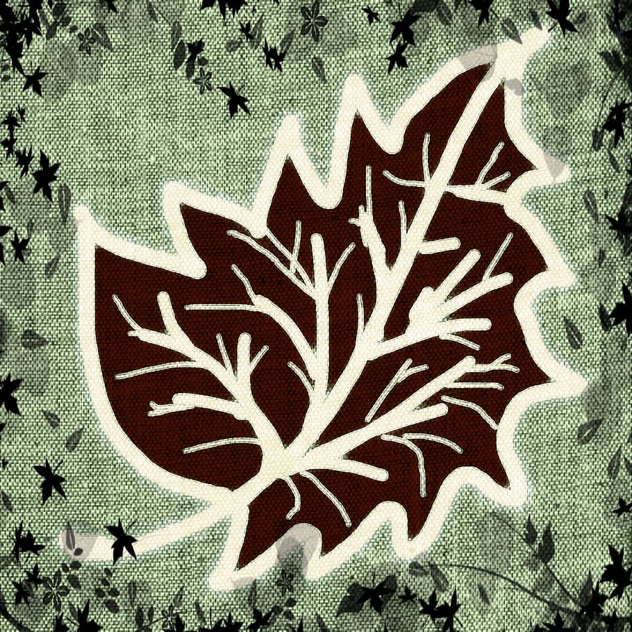 910x910 HD wallpaper: drawing, autumn, leaves, season, design, nature, art, decoration