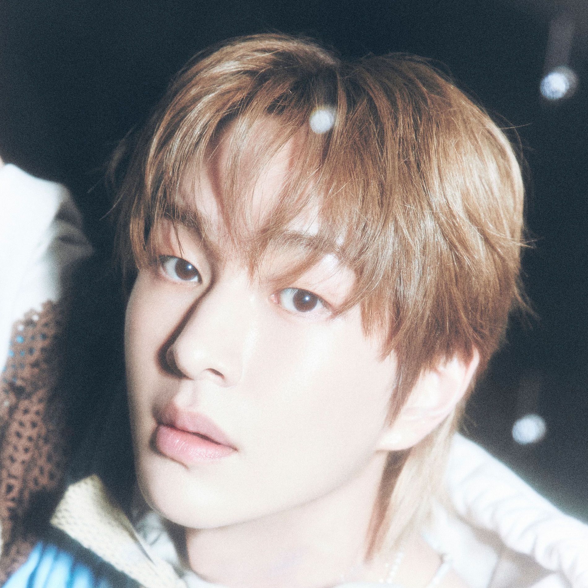 1900x1900 HAECHAN: albums, songs, concerts