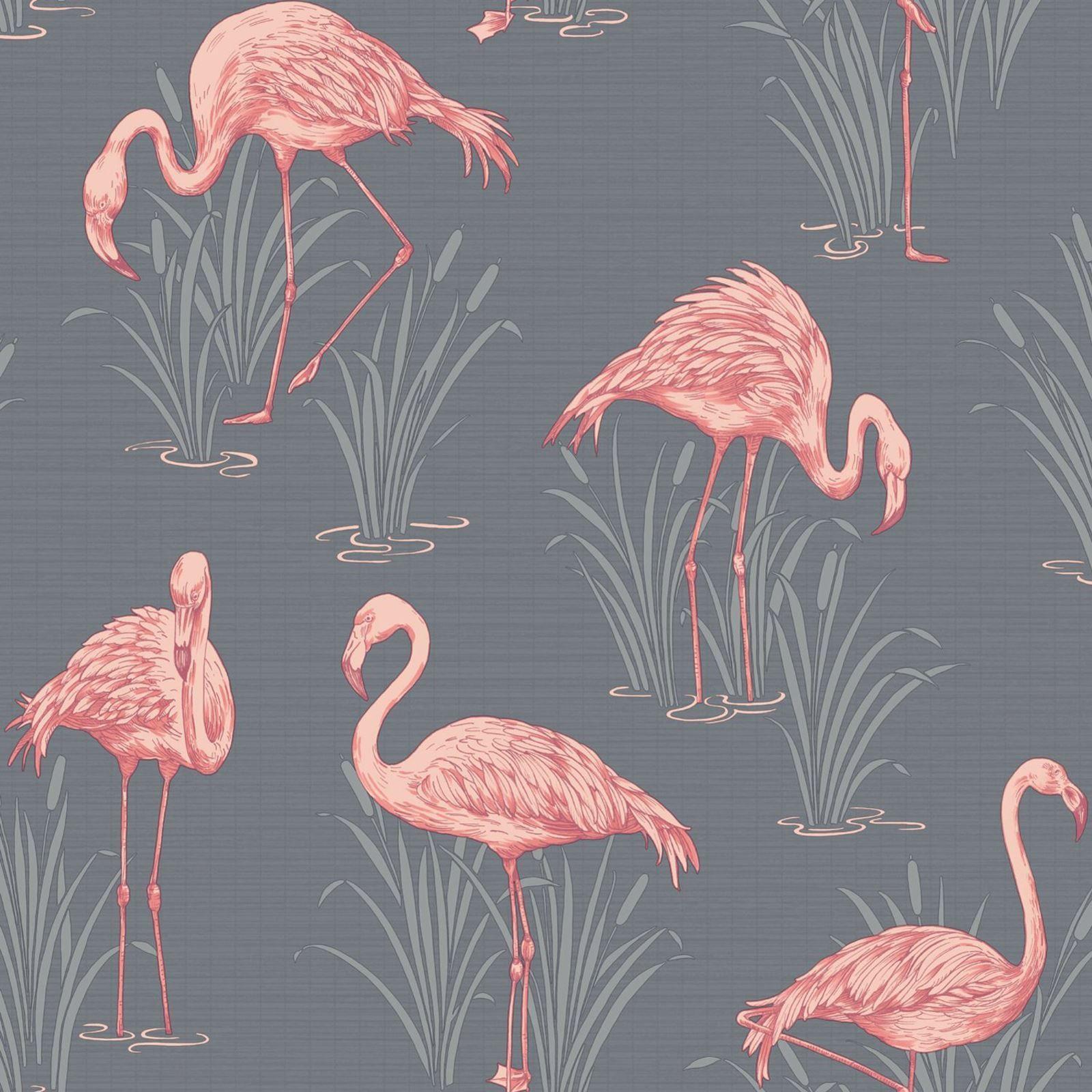 1600x1600 ARTHOUSE GREY WALLPAPER, FLORAL, FLAMINGO, TROPICS BRASILIA & MORE. eBay. Coral wallpaper, Flamingo wallpaper, Grey wallpaper