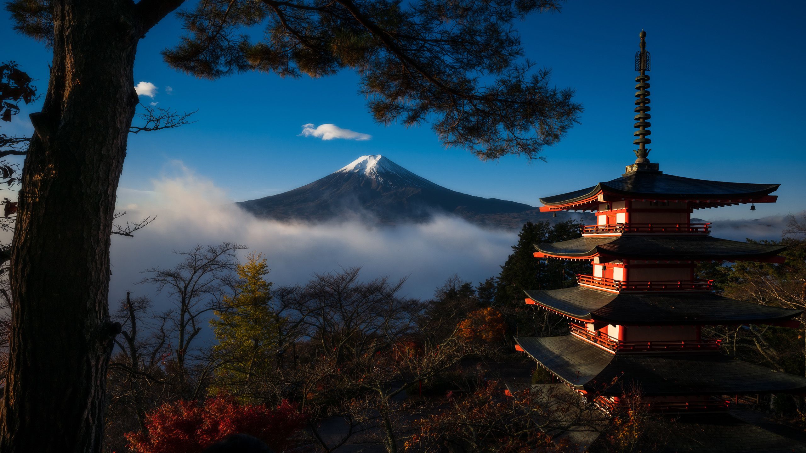 2560x1440 Mount Fuji Japan Tokyo HD Travel Wallpaper
