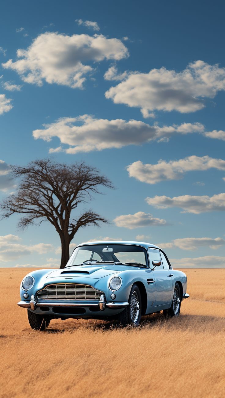 736x1298 Nicest Old money Car
