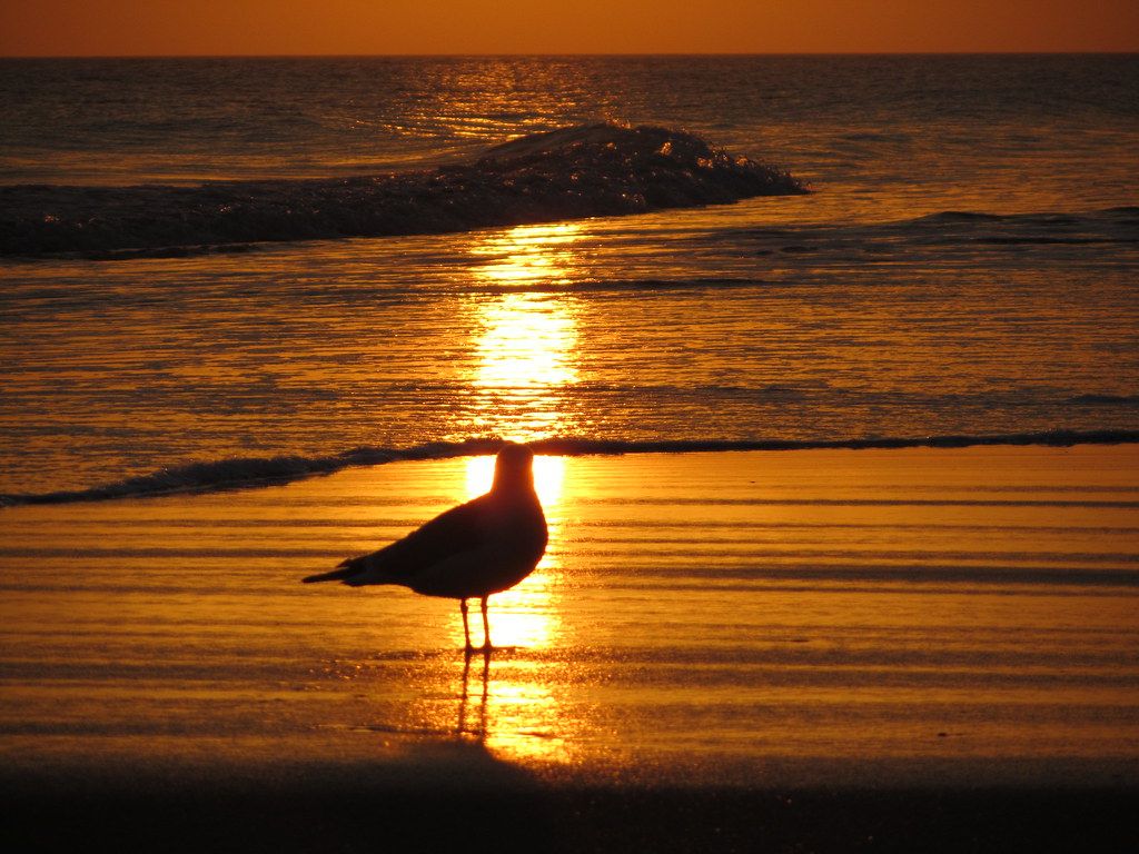 1024x768 Sunset on Oak Island