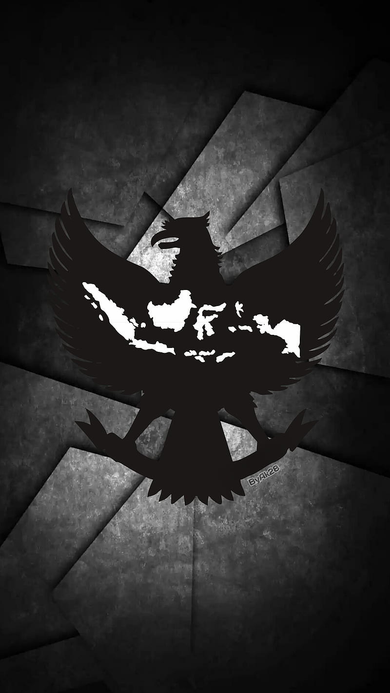 800x1422 Garuda indonesia, night, black, eangel, HD phone wallpaper