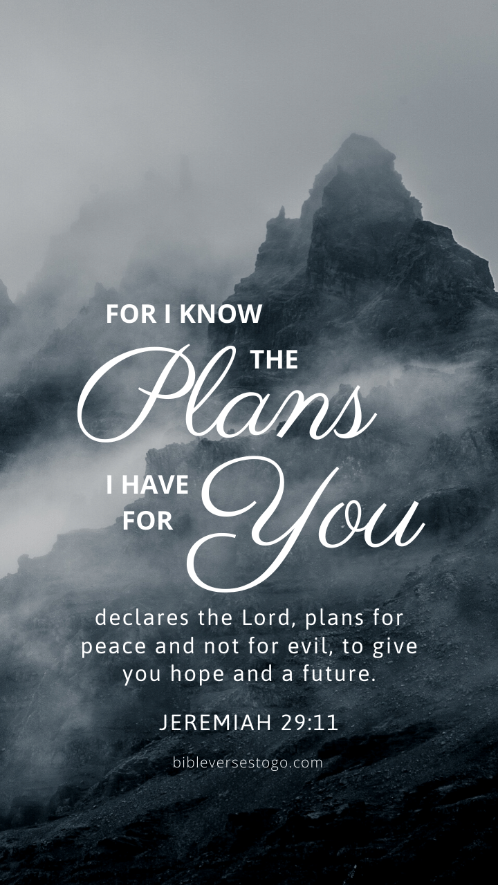 720x1280 Dark Fog Jeremiah 29:11