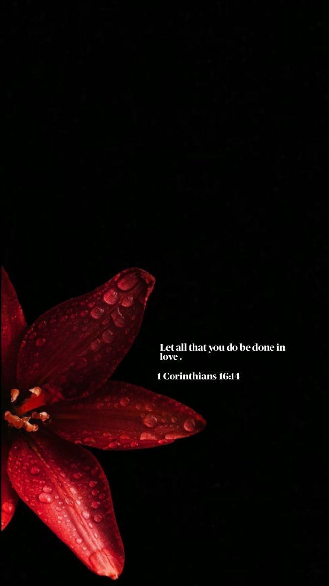 675x1200 Wallpaper. Bible sabbath quotes, Red aesthetic bible verse wallpaper, Cute wallpaper dark red