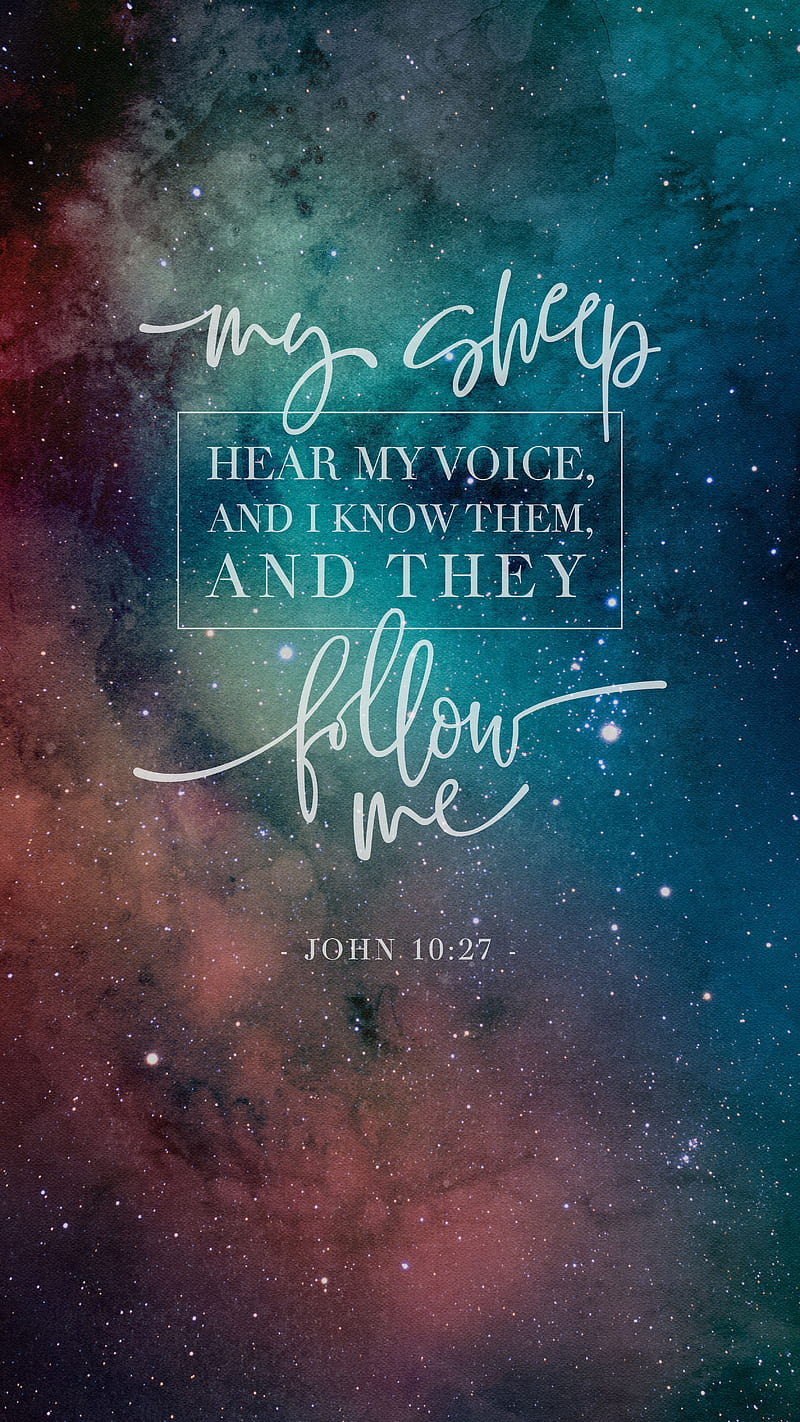 800x1422 My Sheep Follow Me, John 10: TheBlackCatPrints, believe, believer, bible quote, HD phone wallpaper