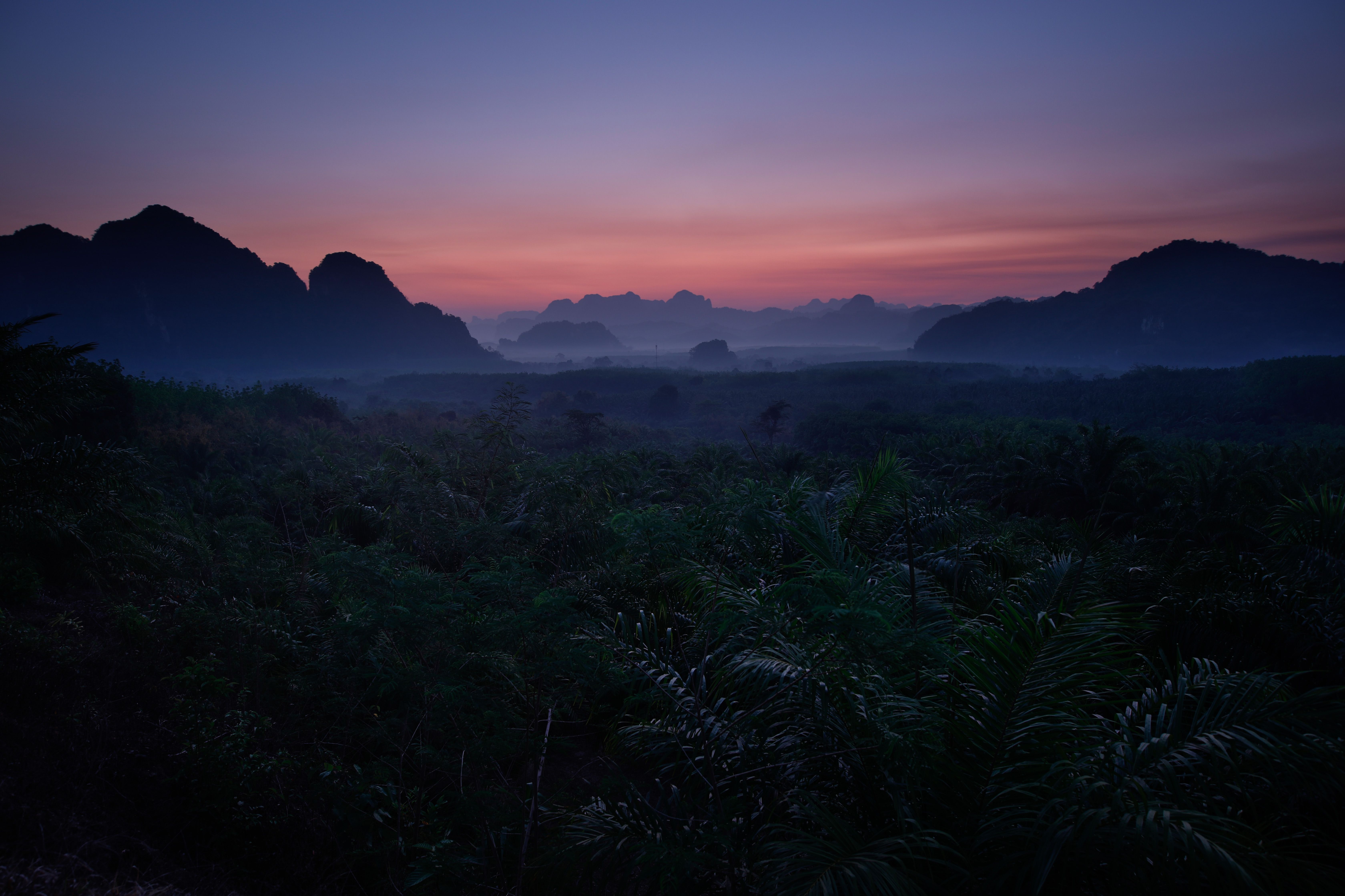 6720x4480 Jungle Sunset Photo, Download The BEST Free Jungle Sunset & HD Image