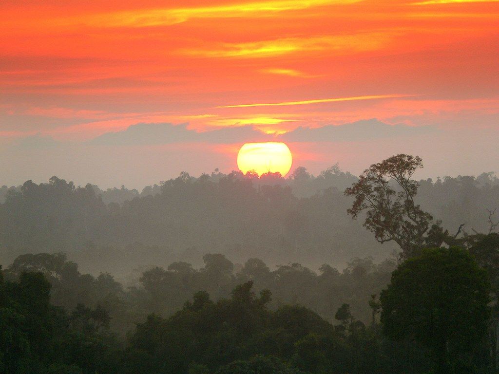 1024x768 jungle sunset. the sun set above the jungle, as dust rising