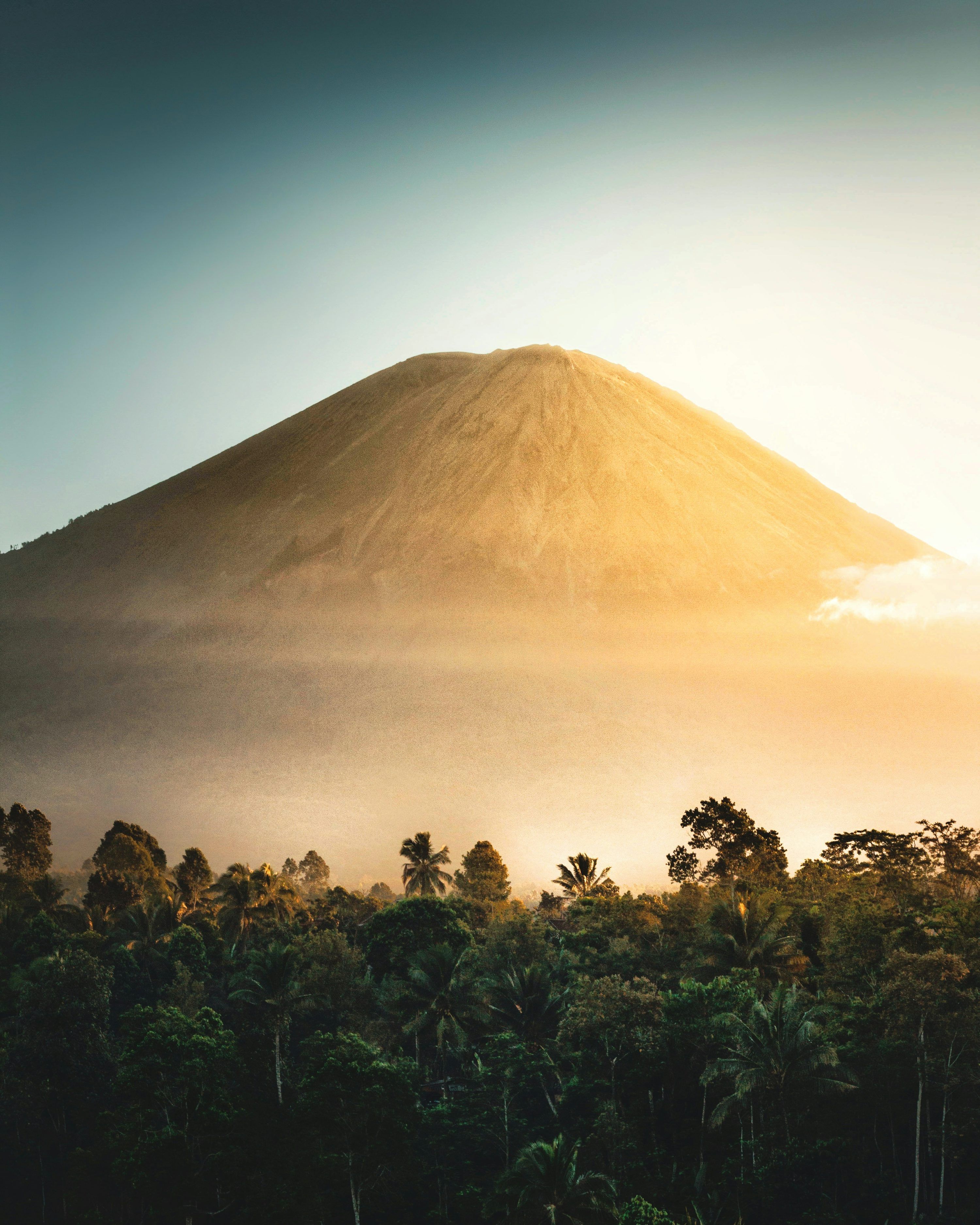 3000x3750 Jungle Sunset Picture. Download Free Image