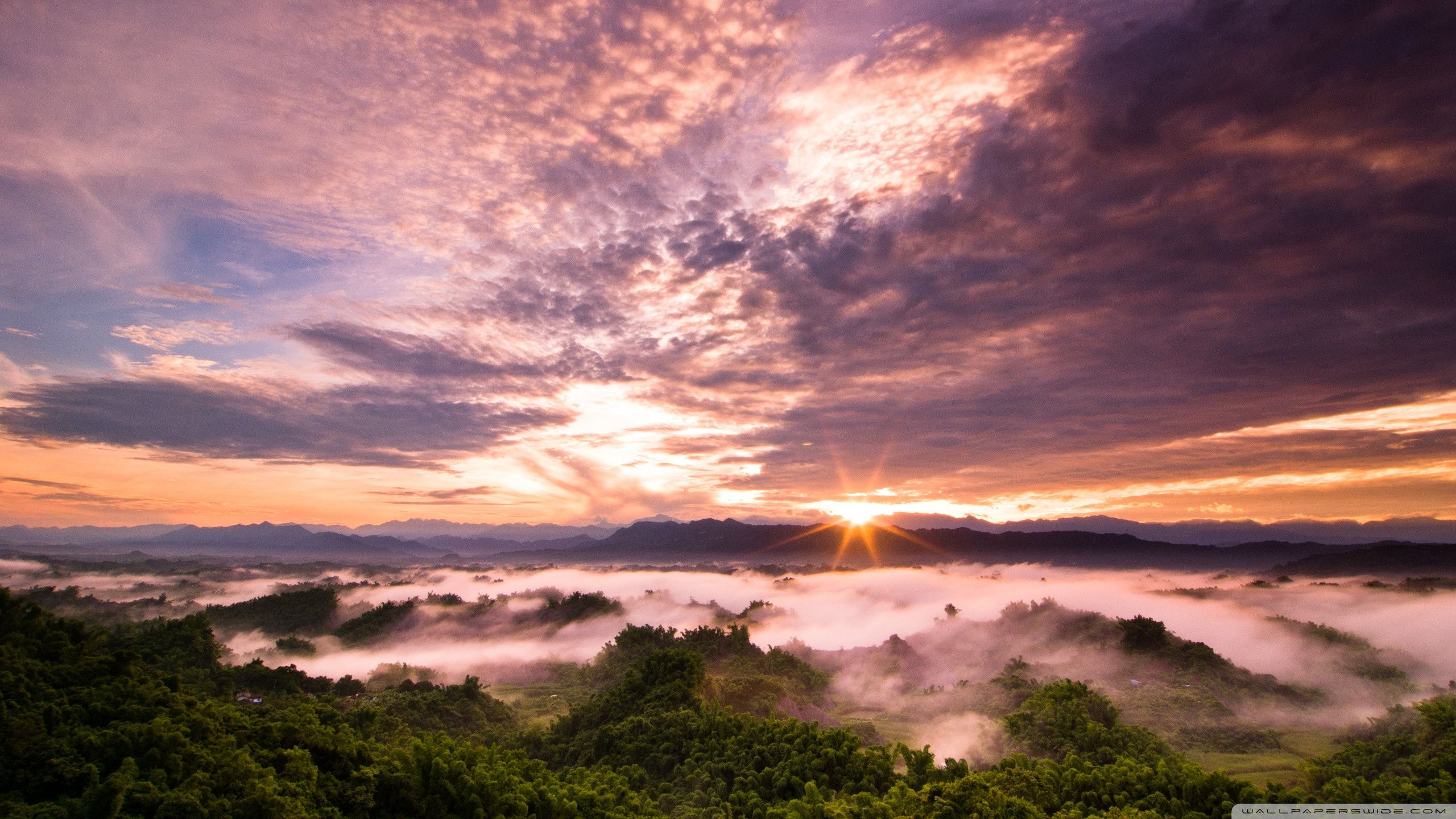 2560x1440 Sunset Over Jungle 4K UHD Wallpaper for UltraHD Desktop and TV : Dual Monitor : Smartphone and Tablet Devices