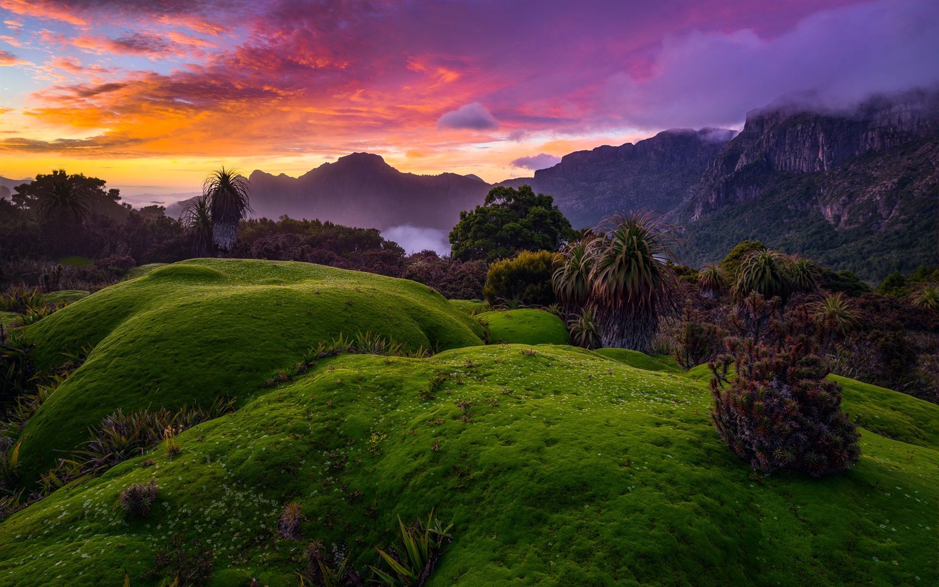 1920x1200 Mountain jungle sunset piccollage. kellysatowhopac1970's Ownd