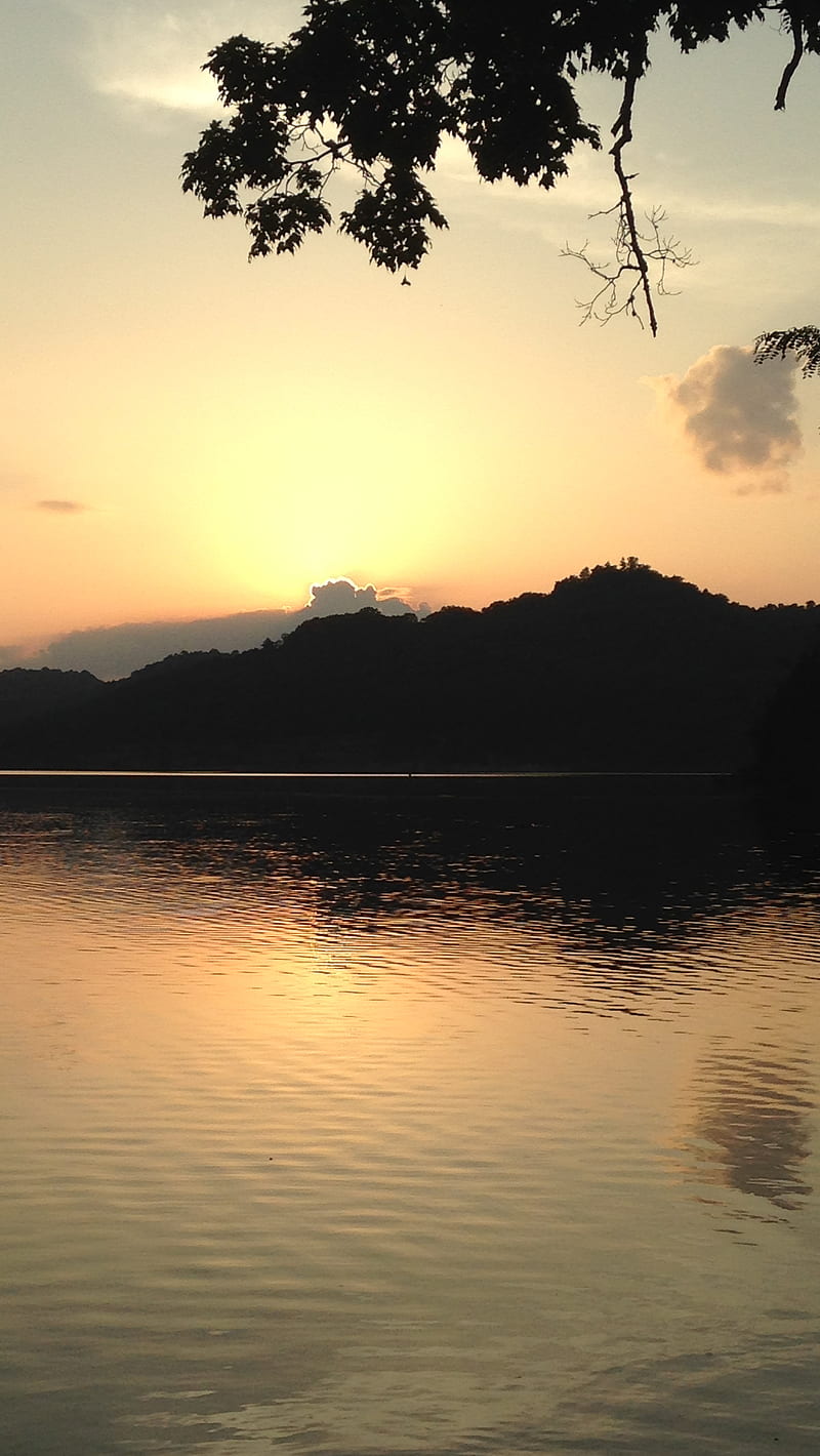 800x1420 Sunset, cool, jungle, photgraph river, HD phone wallpaper