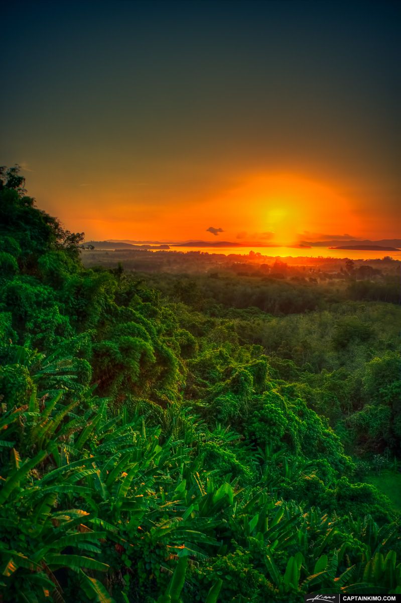 799x1200 Sunrise Over Banana Trees at a Rain Forest in Phuket Thailand. HDR Photography