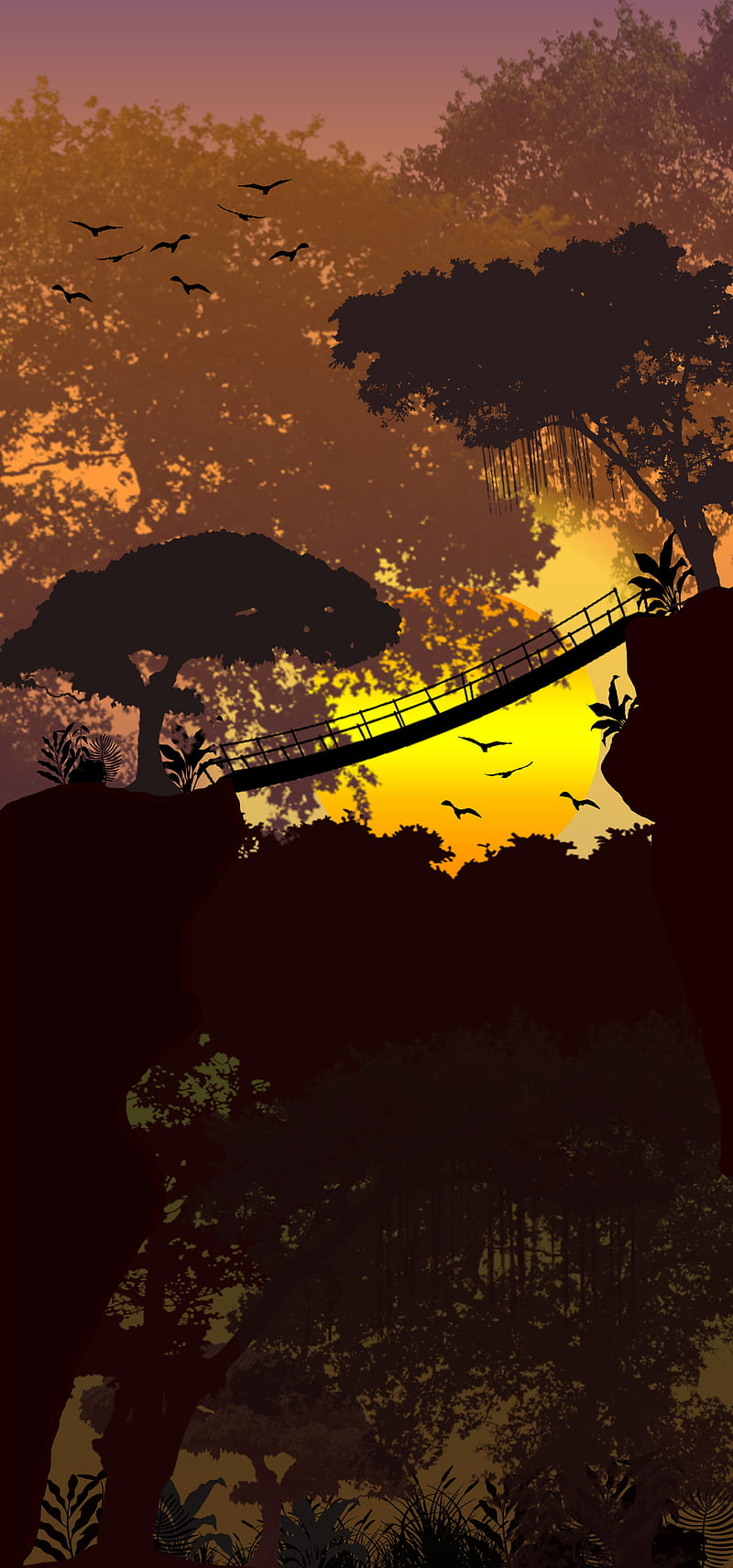 800x1711 Nature Artwork, design, iphone, jungle, samsung, sun, sunset, HD phone wallpaper