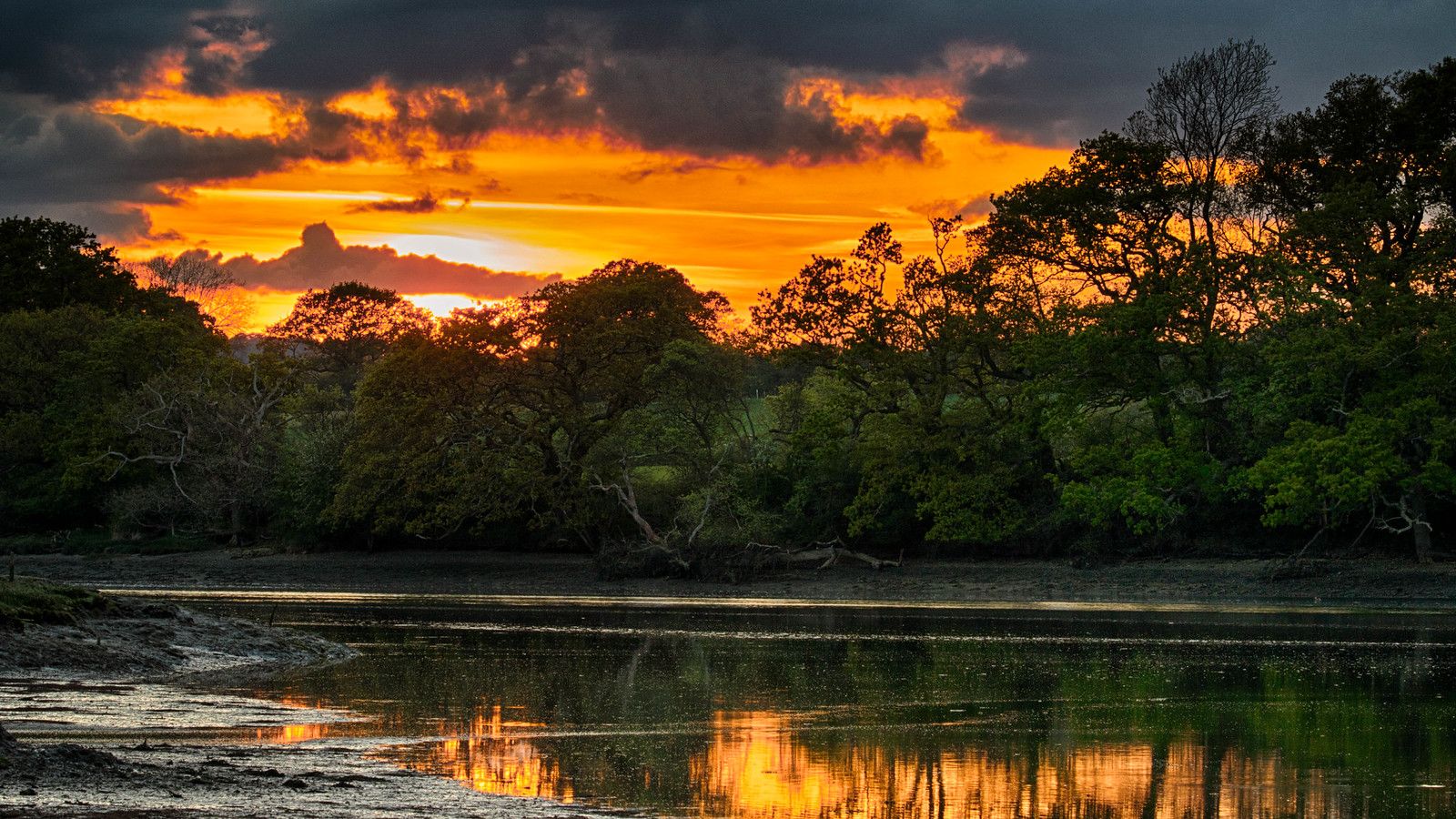 1600x900 Hampshire Jungle. A telephoto shot of the sunset behind the